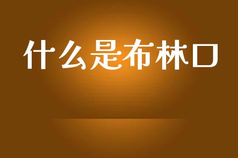 什么是布林口_https://m.fsyjjx.cn_期货保证金_第1张