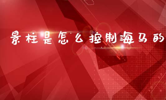景柱是怎么控制海马的_https://m.fsyjjx.cn_期货保证金_第1张