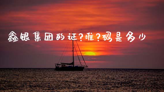 鑫银集团的证?淮?码是多少_https://m.fsyjjx.cn_期货如何开户_第1张