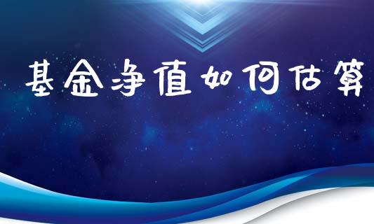 基金净值如何估算_https://m.fsyjjx.cn_股指期货保证金_第1张