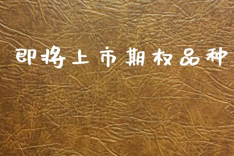 即将上市期权品种_https://m.fsyjjx.cn_期货如何开户_第1张
