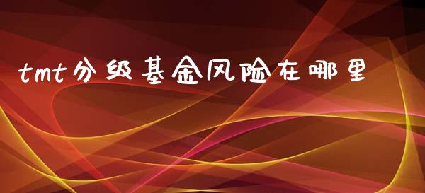 tmt分级基金风险在哪里_https://m.fsyjjx.cn_期货保证金_第1张