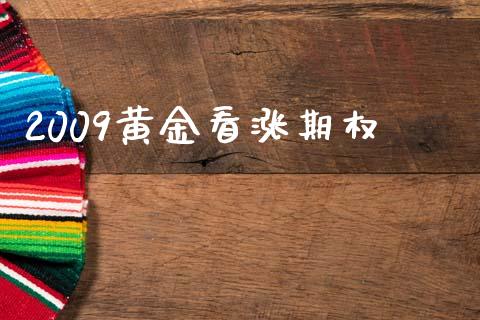 2009黄金看涨期权_https://m.fsyjjx.cn_股指期货保证金_第1张
