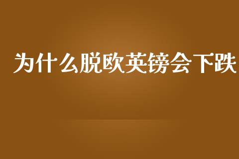 为什么脱欧英镑会下跌_https://m.fsyjjx.cn_期货如何开户_第1张