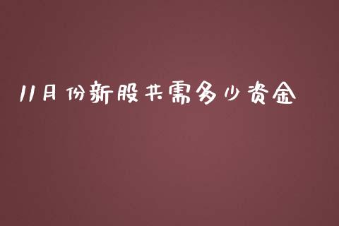11月份新股共需多少资金_https://m.fsyjjx.cn_期货保证金_第1张