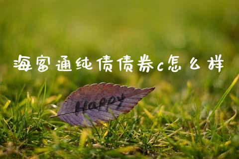 海富通纯债债券c怎么样_https://m.fsyjjx.cn_期货保证金计算_第1张