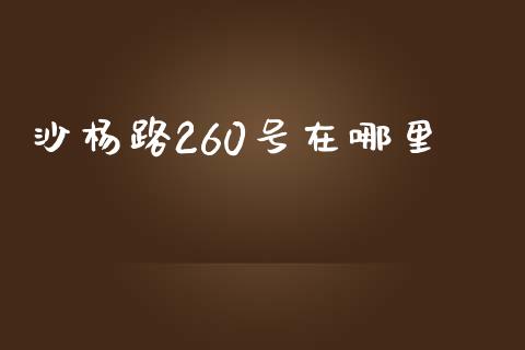 沙杨路260号在哪里_https://m.fsyjjx.cn_期货保证金_第1张