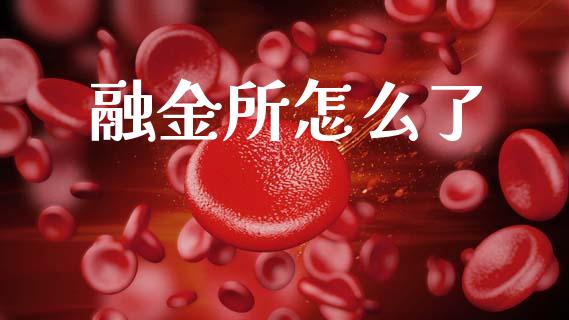 融金所怎么了_https://m.fsyjjx.cn_期货保证金_第1张