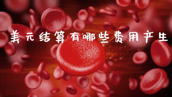 美元结算有哪些费用产生_https://m.fsyjjx.cn_期货保证金_第1张