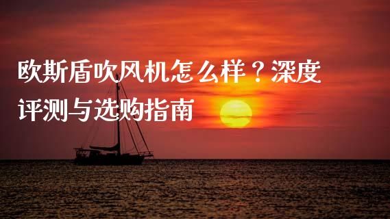 欧斯盾吹风机怎么样？深度评测与选购指南_https://m.fsyjjx.cn_期货保证金计算_第1张