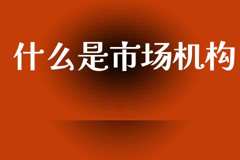 什么是市场机构_https://m.fsyjjx.cn_期货保证金_第1张