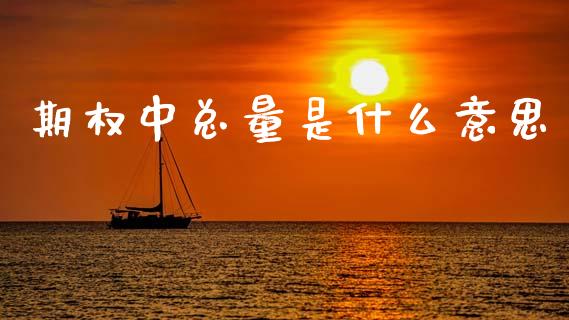 期权中总量是什么意思_https://m.fsyjjx.cn_期货保证金计算_第1张