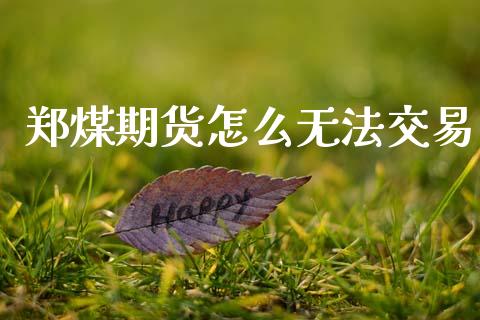 郑煤期货怎么无法交易_https://m.fsyjjx.cn_期货如何开户_第1张
