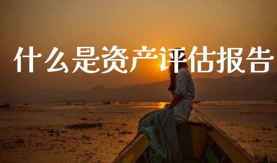 什么是资产评估报告_https://m.fsyjjx.cn_期货保证金_第1张