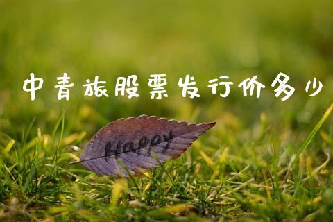 中青旅股票发行价多少_https://m.fsyjjx.cn_期货如何开户_第1张