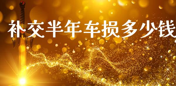 补交半年车损多少钱_https://m.fsyjjx.cn_期货保证金计算_第1张