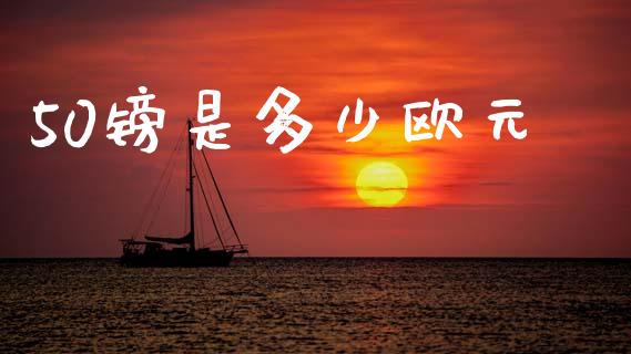 50镑是多少欧元_https://m.fsyjjx.cn_期货保证金计算_第1张