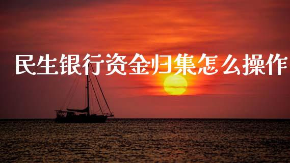 民生银行资金归集怎么操作_https://m.fsyjjx.cn_期货保证金_第1张