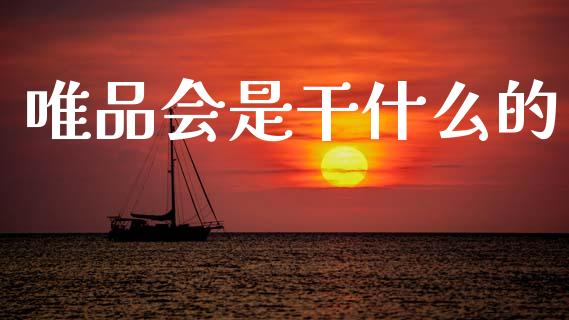 唯品会是干什么的_https://m.fsyjjx.cn_期货保证金_第1张