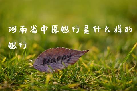 河南省中原银行是什么样的银行_https://m.fsyjjx.cn_期货保证金计算_第1张