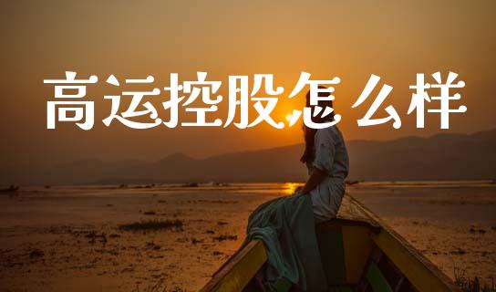 高运控股怎么样_https://m.fsyjjx.cn_期货保证金计算_第1张