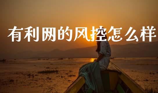 有利网的风控怎么样_https://m.fsyjjx.cn_股指期货保证金_第1张
