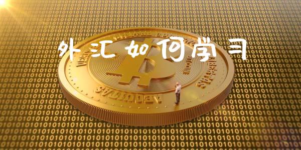 外汇如何学习_https://m.fsyjjx.cn_期货保证金计算_第1张