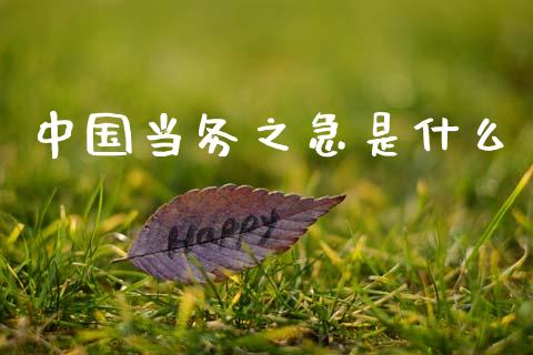 中国当务之急是什么_https://m.fsyjjx.cn_期货保证金_第1张