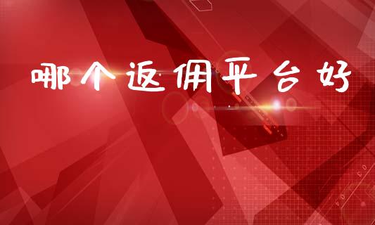 哪个返佣平台好_https://m.fsyjjx.cn_股指期货保证金_第1张