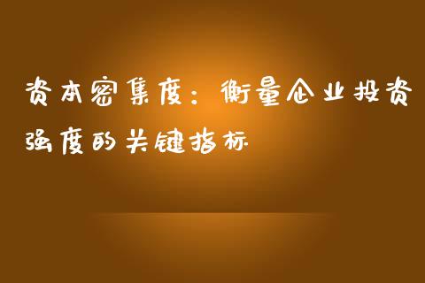 资本密集度：衡量企业投资强度的关键指标_https://m.fsyjjx.cn_期货保证金计算_第1张