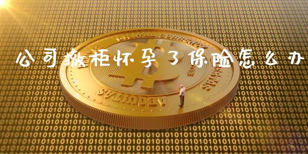 公司撤柜怀孕了保险怎么办_https://m.fsyjjx.cn_股指期货保证金_第1张