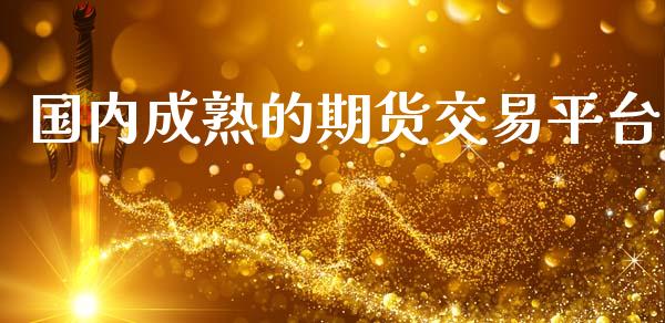 国内成熟的期货交易平台_https://m.fsyjjx.cn_期货保证金_第1张