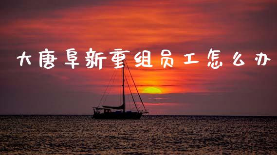 大唐阜新重组员工怎么办_https://m.fsyjjx.cn_期货保证金_第1张