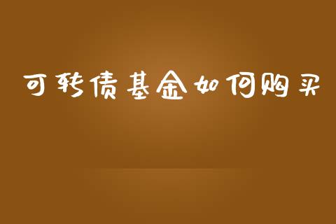 可转债基金如何购买_https://m.fsyjjx.cn_股指期货保证金_第1张