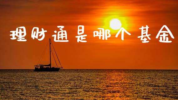理财通是哪个基金_https://m.fsyjjx.cn_期货保证金计算_第1张