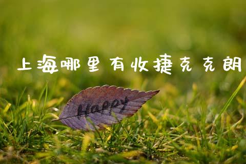 上海哪里有收捷克克朗_https://m.fsyjjx.cn_股指期货保证金_第1张