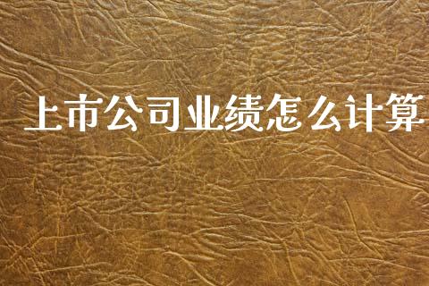 上市公司业绩怎么计算_https://m.fsyjjx.cn_期货保证金_第1张