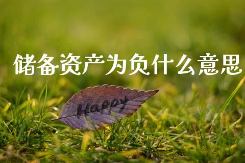 储备资产为负什么意思_https://m.fsyjjx.cn_期货如何开户_第1张