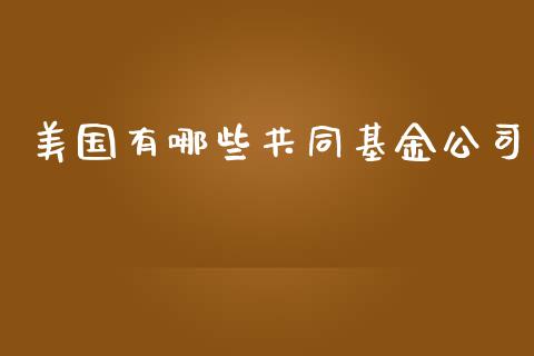 美国有哪些共同基金公司_https://m.fsyjjx.cn_股指期货保证金_第1张