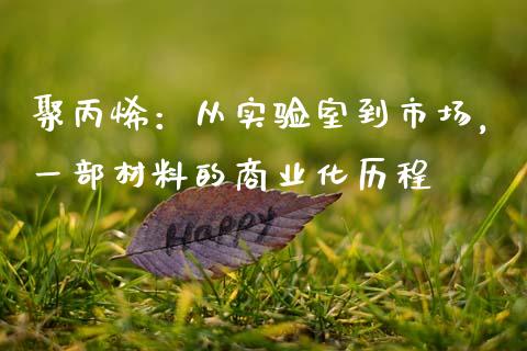 聚丙烯：从实验室到市场，一部材料的商业化历程_https://m.fsyjjx.cn_期货如何开户_第1张