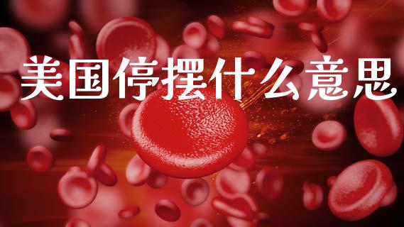 美国停摆什么意思_https://m.fsyjjx.cn_股指期货保证金_第1张