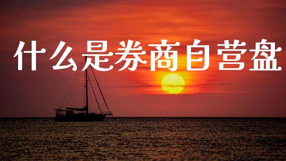 什么是券商自营盘_https://m.fsyjjx.cn_期货保证金_第1张
