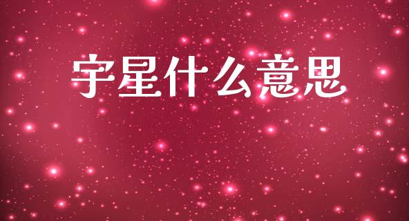 宇星什么意思_https://m.fsyjjx.cn_期货保证金_第1张