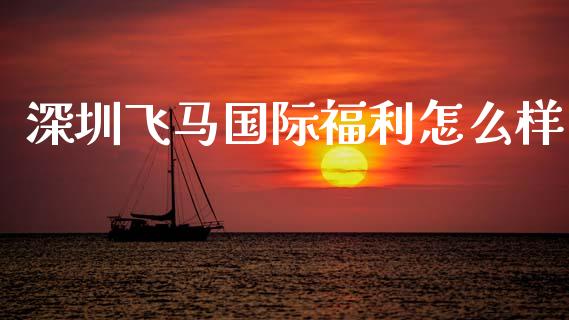 深圳飞马国际福利怎么样_https://m.fsyjjx.cn_期货如何开户_第1张