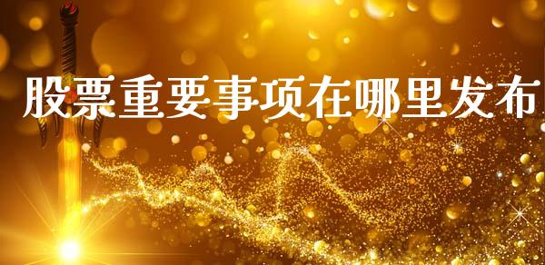 股票重要事项在哪里发布_https://m.fsyjjx.cn_期货保证金_第1张