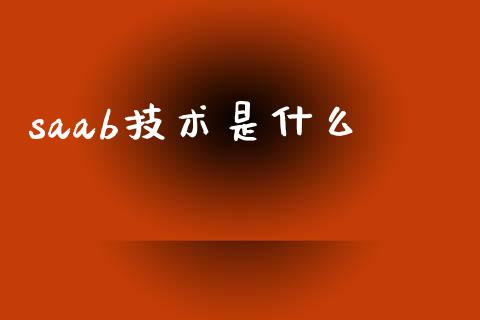 saab技术是什么_https://m.fsyjjx.cn_期货如何开户_第1张