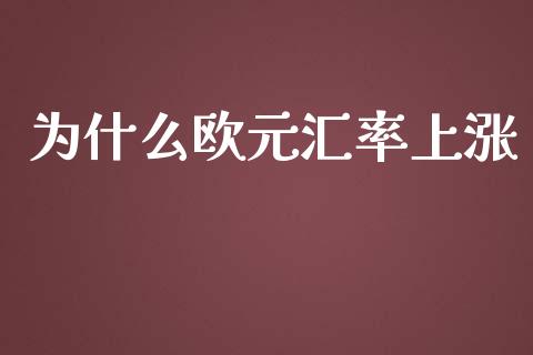为什么欧元汇率上涨_https://m.fsyjjx.cn_股指期货保证金_第1张