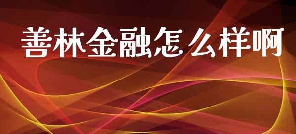 善林金融怎么样啊_https://m.fsyjjx.cn_股指期货保证金_第1张