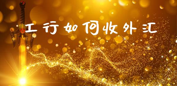 工行如何收外汇_https://m.fsyjjx.cn_期货保证金计算_第1张