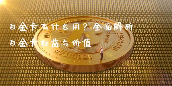 白金卡有什么用？全面解析白金卡权益与价值_https://m.fsyjjx.cn_期货保证金_第1张